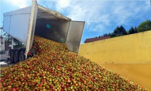 Transport de denrées alimentaires : des options pour le maintien de la chaîne du froid